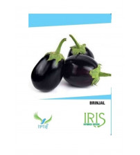 Iris F1 Brinjal Round 30 Seeds
